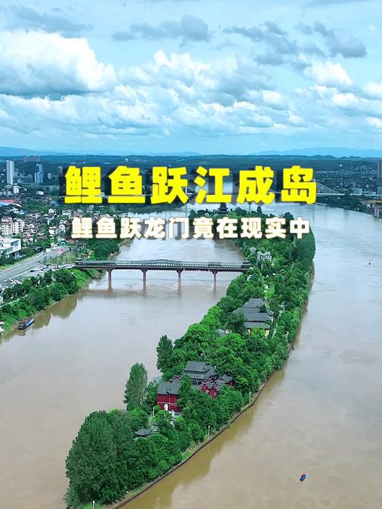 你见过“鲤鱼跃龙门”的真实版吗?