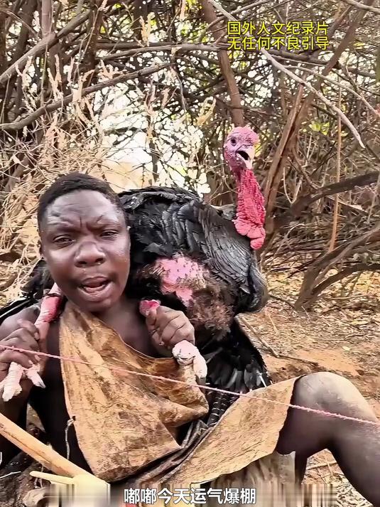 非洲原始部落吃火鸡 #野外生存 #神奇动物