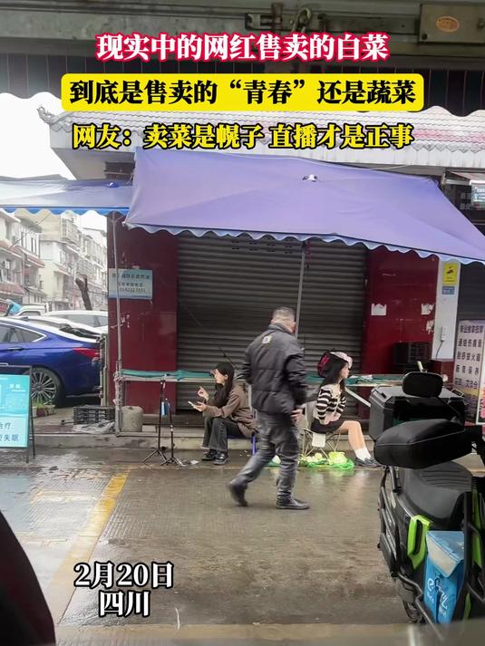 现实中的网红售卖的白菜,到底是售卖的“青春”还是蔬菜