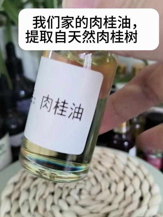 肉桂油：天然驱虫抗菌王，温热养生的植物“体感暖油”