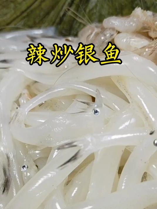 辣炒银鱼这样做最好吃