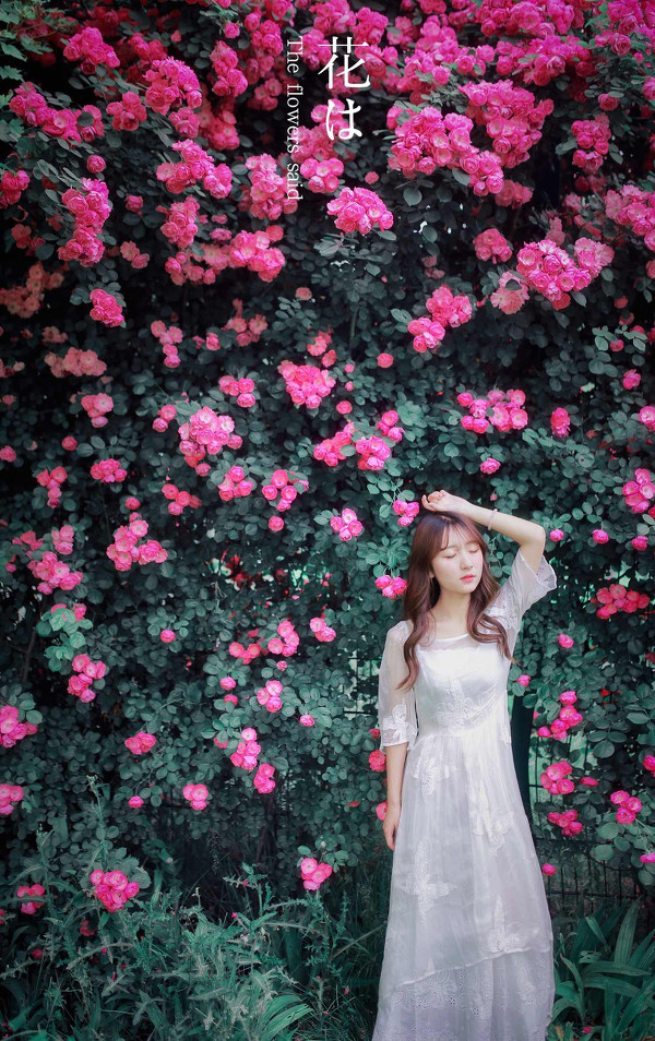图片[15]-花儿说-六色网