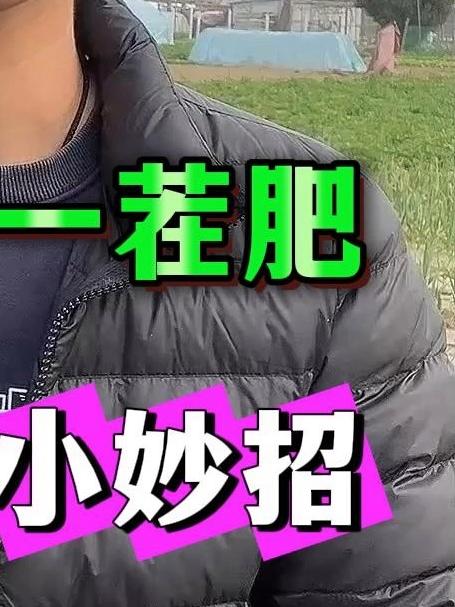 一茬韭菜一茬肥韭菜增产小妙招