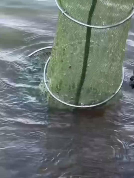 小型便携钓鱼增氧泵,浮水防浸泡设计,户外野钓居家养鱼都能用#增氧机##空气悬浮增氧机##增