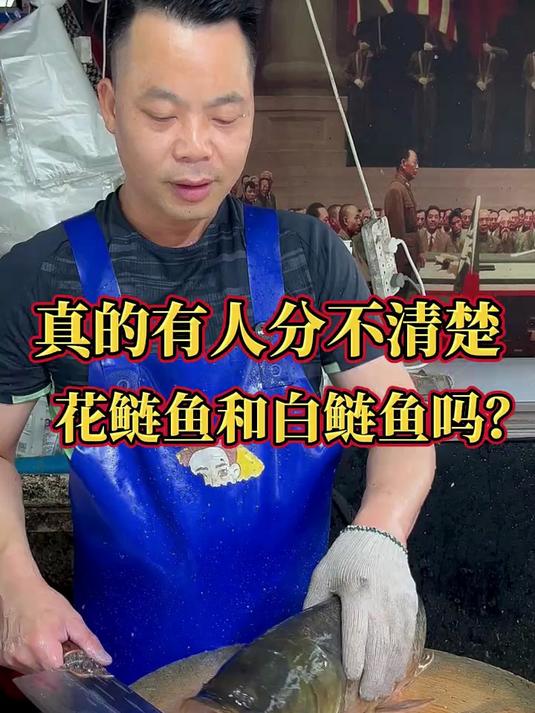 花鲢和白鲢有什么区别,大家都认识吗?