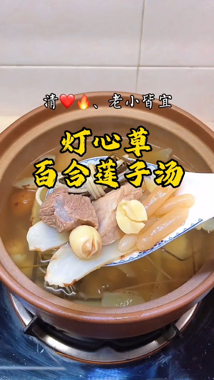 这几天孩子睡眠不好还老流口水,煲个灯心草百合莲子汤给他喝