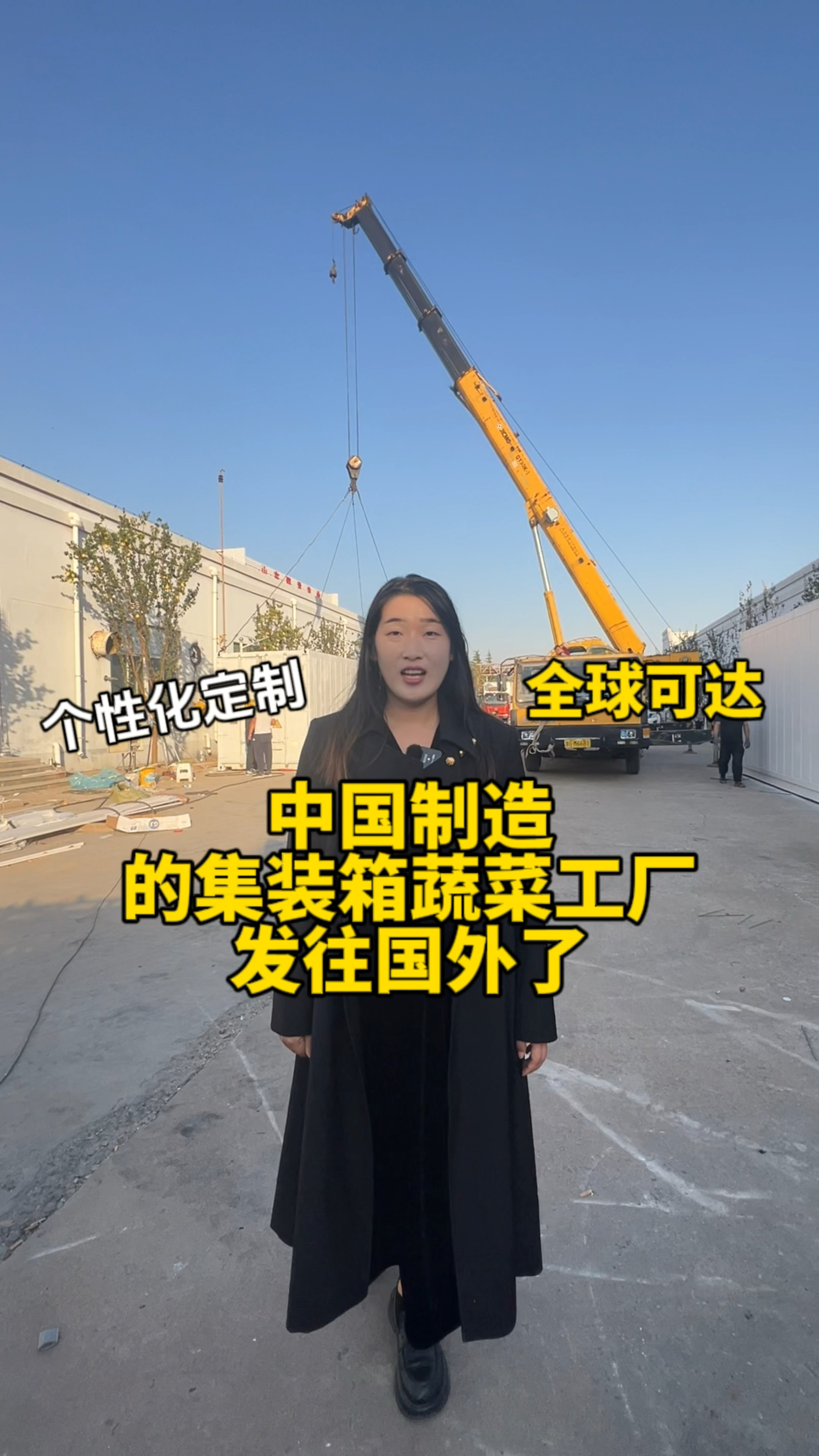 中国制造的集装箱蔬菜植物工厂,跨过大洋去国外了!这一个集装箱就可以种5000多棵蔬菜