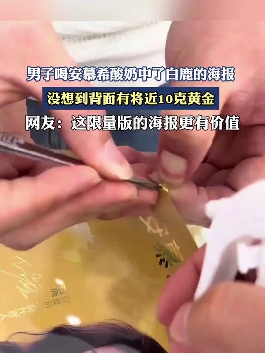 男子喝安慕希酸奶中了白鹿的海报,谁能想到,背面居然藏着近10克黄金