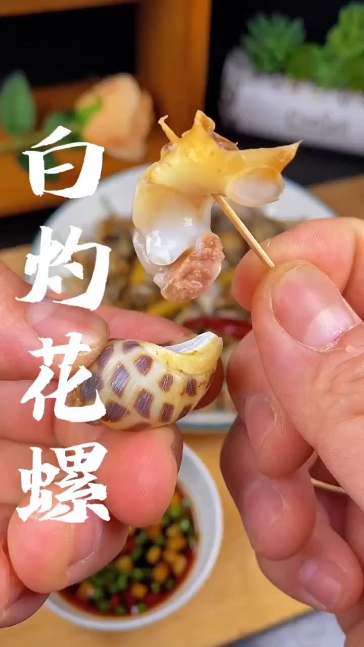 在家招待客人,做这道白灼花螺很有面子,花螺肉质鲜美,白灼的方法更原汁原味