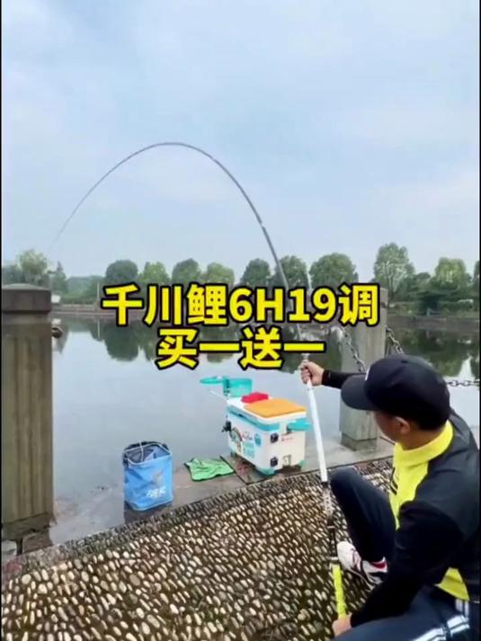 邓老师推荐鱼竿钓鱼竿超轻超硬手杆6H8H19调黑坑台钓竿鲫鱼竿大物