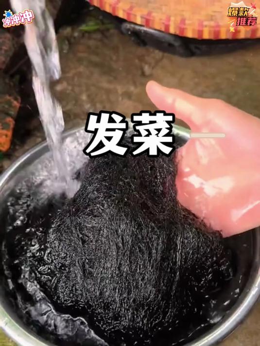 发菜又叫发财菜是海发菜非常好吃而且营养丰富大人小孩吃都很不错