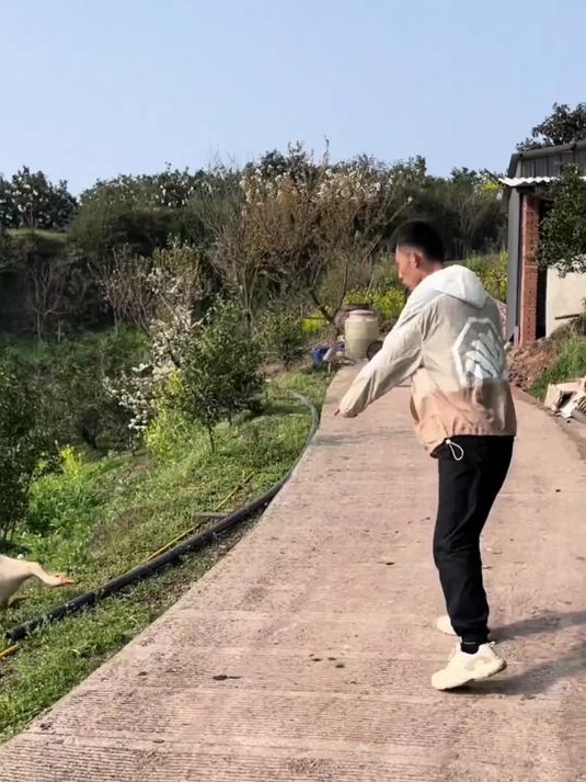 男子整蛊狗狗