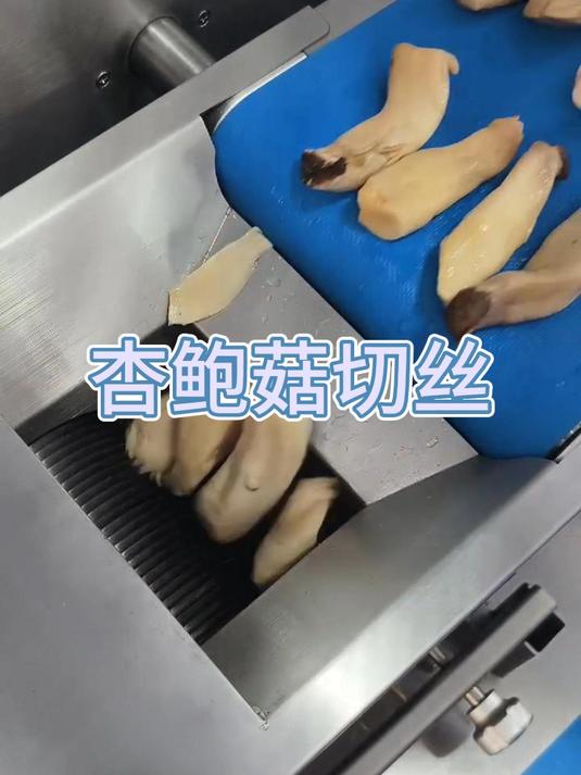 连续式切肉片肉丝机,可以加工新鲜猪肉,也可以切割软蔬菜