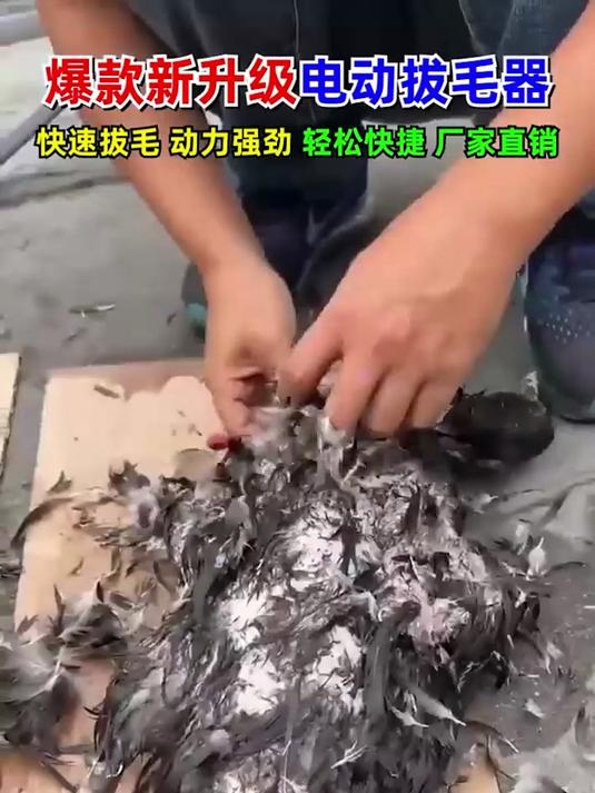 这个电动拔毛器真的太好用了,不锈钢锥头耐用不生锈,拔毛快速不伤肉#鸡鸭鹅拔毛器#