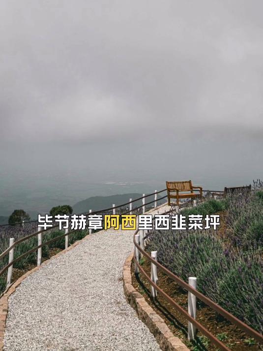 毕节赫章阿西里西韭菜坪，毕业旅行去看云上花海