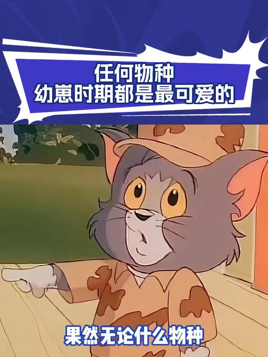 Q版猫和老鼠：任何物种幼崽时期都是最可爱的