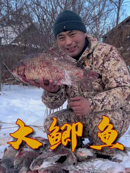 俄罗斯超级巨鲫鱼 最大鲫鱼 俄罗斯捕鱼