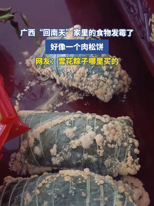 广西“回南天”家里的食物发霉了,好像一个肉松饼,网友:雪花粽子哪里买的