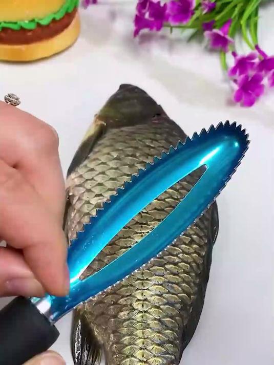 鱼鳞刨选这种锯齿款!快速刮鳞不打滑,鱼皮光滑得能当镜子照!