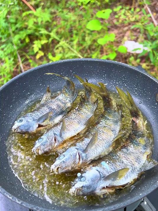 钓完鱼再户外做个红烧鱼现钓现吃那叫一个绝美