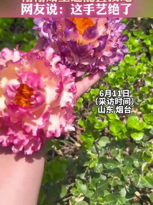 女子用馒头捏牡丹花馍 栩栩如生还能直接吃 网友说：这手艺绝了