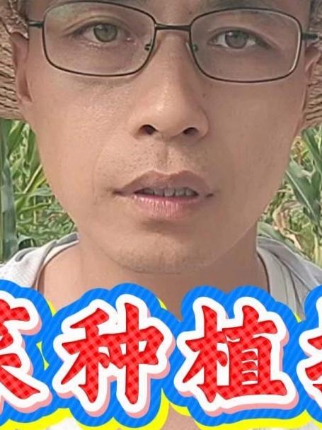 油菜的最佳种植时间