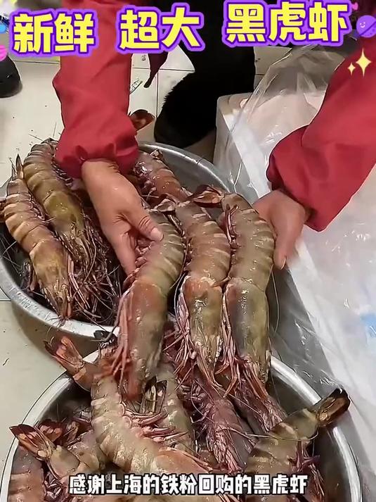 野生黑虎虾，不用放啥调料，就挺鲜的？