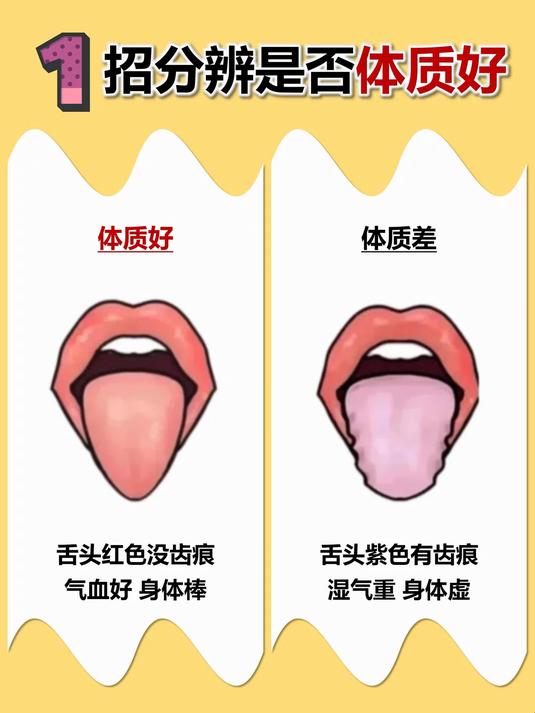 舌头红色没齿痕气血好 身体棒 舌头紫色有齿痕湿气重 身体虚