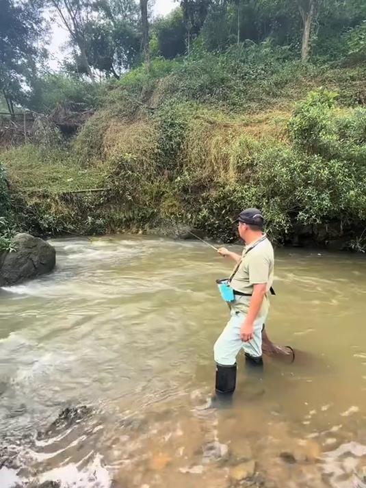 单钩三星漂，专钓溪流石斑鱼、马口。溪流钓线组