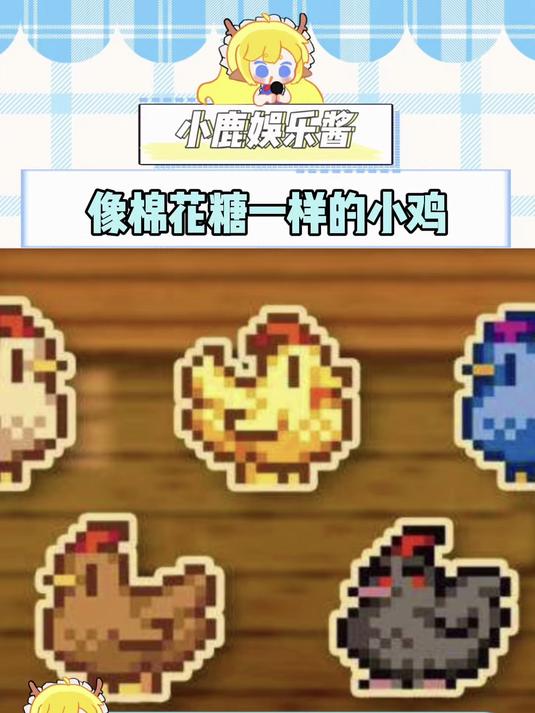 像棉花糖一样的小鸡
