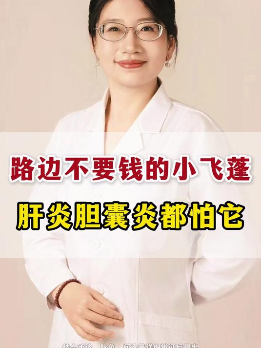 路边不要钱的小飞蓬,肝炎胆囊炎都怕它