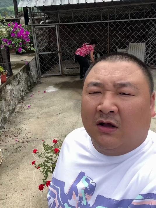 草率了