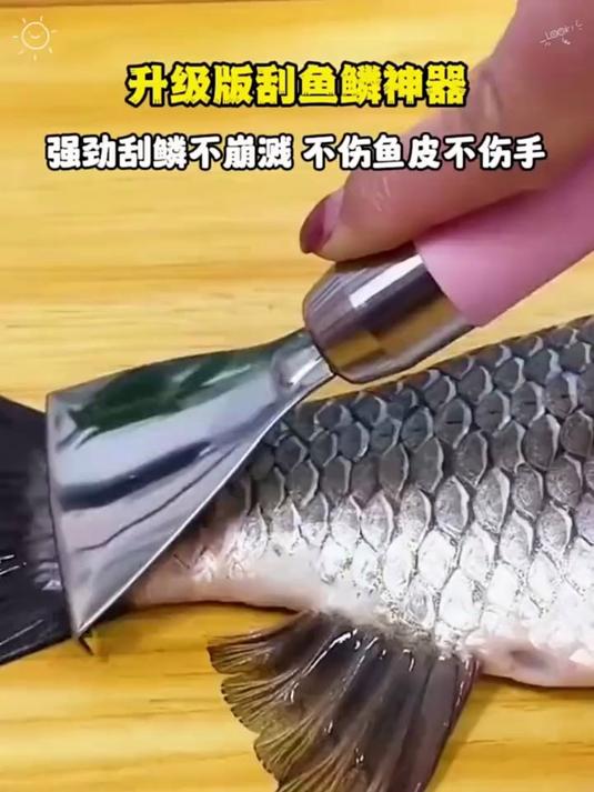 有了不锈钢刮鱼鳞器，去鳞省时又省力，再也不怕弄湿弄脏手#鱼鳞刨#