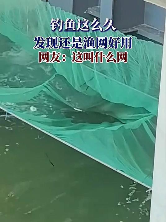 钓鱼这么久，发现还是渔网好用，网友：这叫什么网