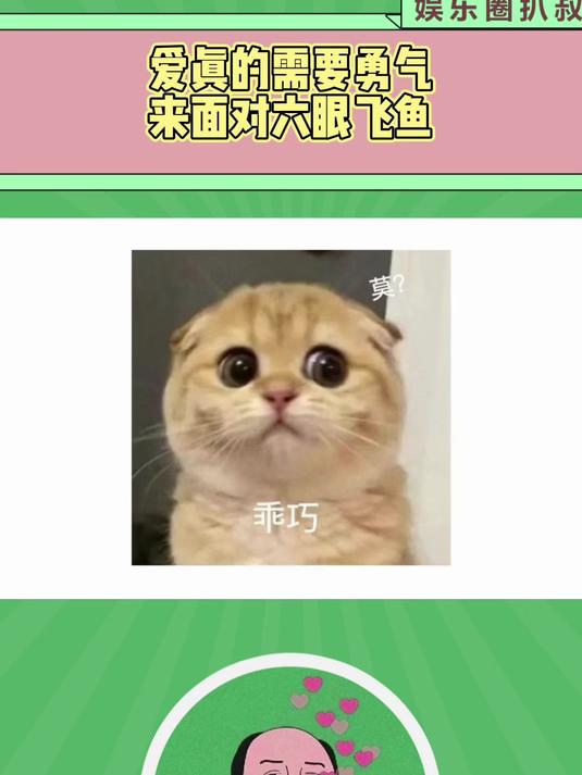 爱真的需要勇气来面对六眼飞鱼