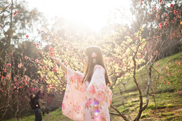 图片[2]-桃花。和服-六色网