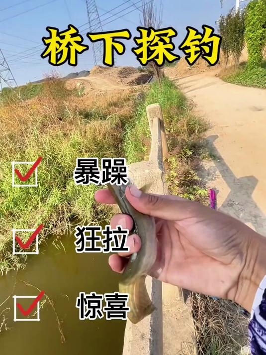 这大爷真靠谱啊,野钓就是这么有惊喜,正宗黄河小鲶鱼