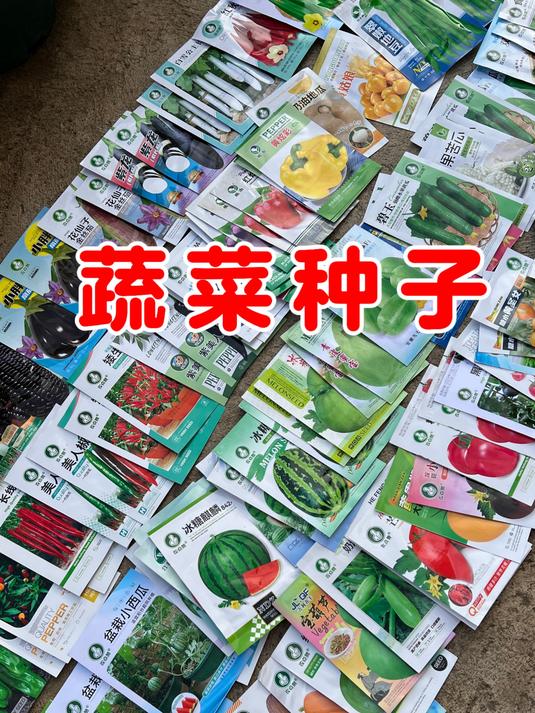 立春了,大家准备好各种蔬菜的种子,种上美味的瓜果蔬菜