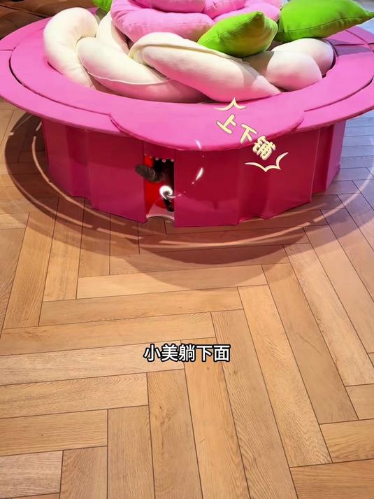 复刻童年花篮蛋糕沙发,人猫共用上下铺设计,好看治愈又实用#手工#
