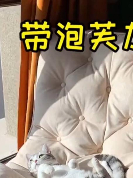 你pick哪只王泡芙？是软萌的芙芙，还是自带气场的凶凶猫老板？