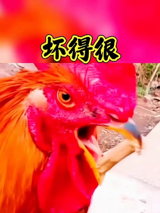 果蔬卡通包子面皮氧化暗沉_可爱造型瞬间失去清新质感