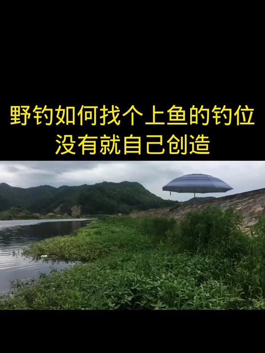 野钓如何找个上鱼的钓位,没有就自己创造