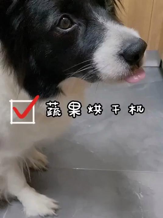 摩飞干果机 值得购买