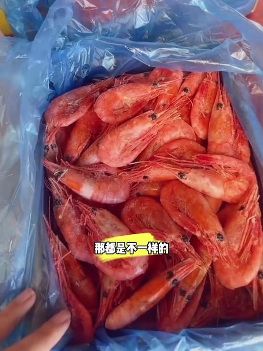 逛吃时发现的宝藏！北极甜虾鲜甜可口，超惊艳