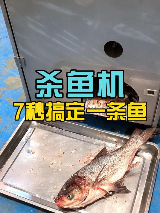 杀鱼机7秒搞定草鱼和大头鱼,不破鱼胆不伤鱼身,机器易上手