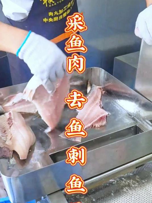 自动去鱼刺机，多功能鱼肉采肉机，鱼刺鱼骨分离机