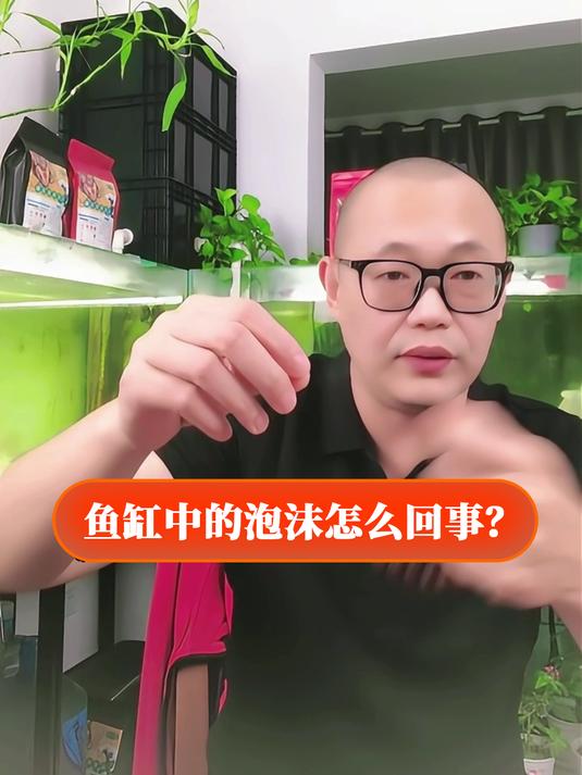 鱼缸中的泡沫怎么回事?