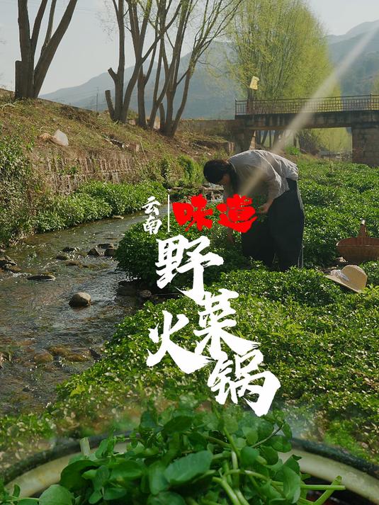 野菜火锅
