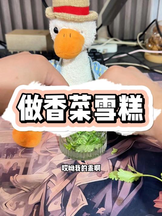 做香菜雪糕#暴躁老秦##复读鸭##老秦呀#