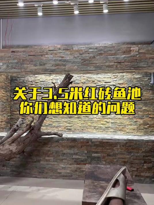 关于各位对我这个红砖鱼池的各种质疑